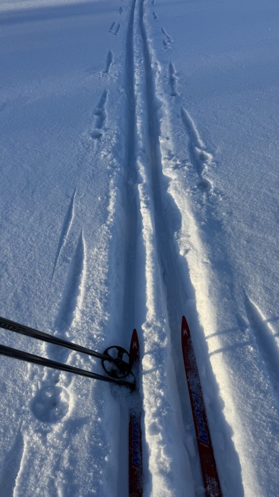 Ett par längdskidor och stavar på ett snöigt spår, med djupa skidspår som syns i den färska, orörda snön i blått ljus.