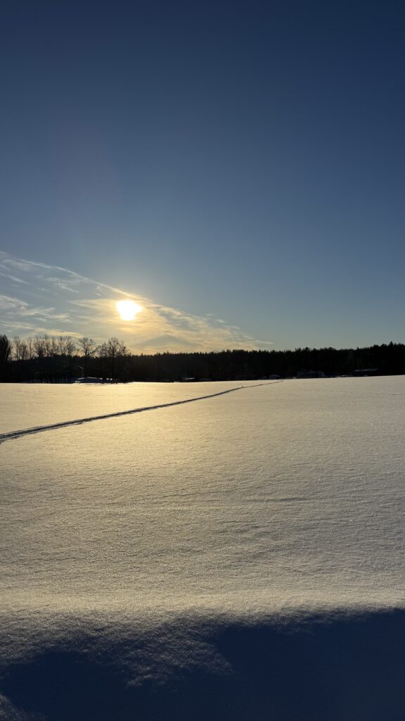 Solen går ner över ett vidsträckt, snötäckt fält med en enda rad fotspår över snön, träd i silhuett vid horisonten och en klarblå himmel ovanför.