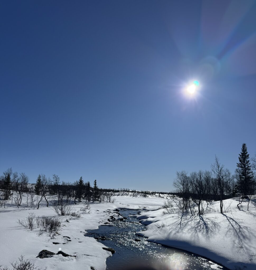 En strålande sol skiner på en klarblå himmel över ett snöigt landskap med glesa träd och en liten bäck som slingrar sig genom den snötäckta marken.