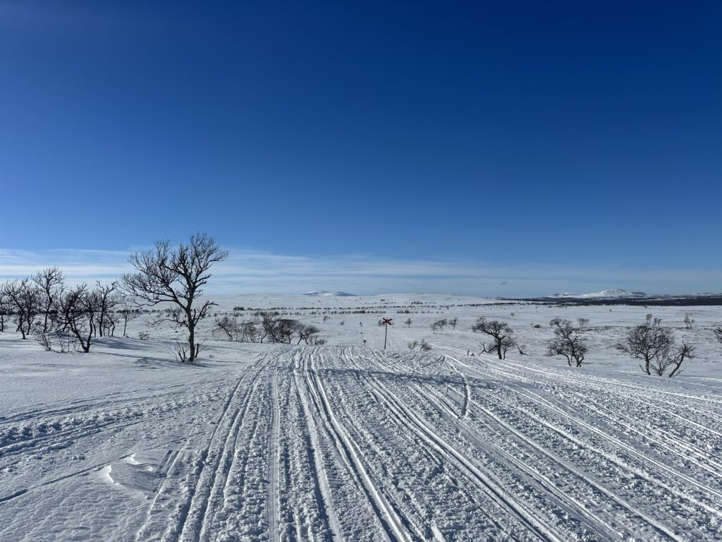 Ett snöigt landskap med spridda lövlösa träd, skid- eller skoterspår i snön och klarblå himmel ovanför. I horisonten syns avlägsna kullar och en röd vägskylt.