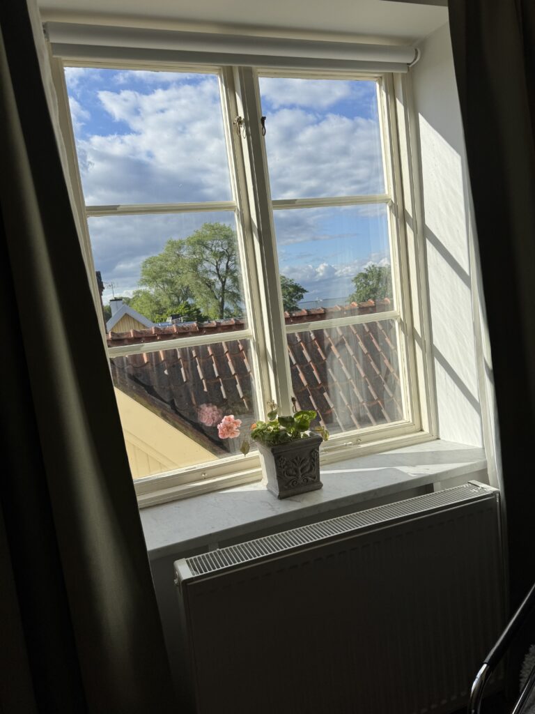 Ett solbelyst fönster med lätta gardiner ger utsikt över hustak, träd och en blå himmel med moln. En blomkruka med gröna blad och en rosa blomma står på fönsterbrädan ovanför ett element.
