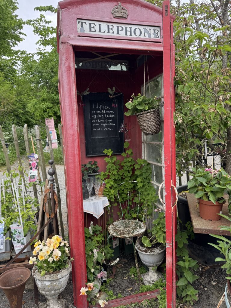 En klassisk röd brittisk telefonkiosk omgjord till en trädgårdsutställning, fylld med krukväxter, blommor och grönska. En griffeltavla med handskriven text hänger inuti. Runt telefonkiosken finns fler växter och trädgårdsartiklar.