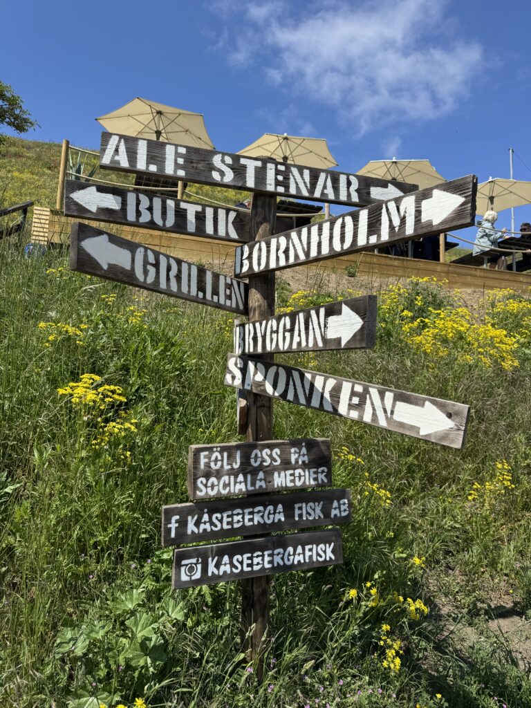 Träskylt på en gräsbevuxen kulle med flera pilar som pekar på platser: Ale Stenar, Butik Bornholm, Grillen, Bryggan, Sponken. Gula vildblommor och uteserveringar syns i bakgrunden.