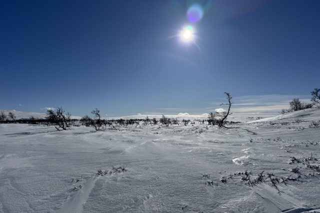 Ett snöigt, vindpinat landskap under en klarblå himmel där solen skiner starkt och kastar linsreflexer. Glesa, bladlösa träd prickar horisonten och snön täcker marken med synliga drivor och texturer.